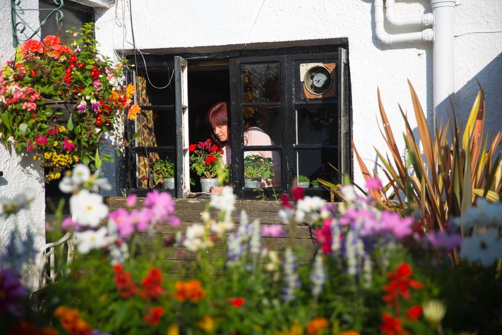 The Cott Inn Тотнес Экстерьер фото